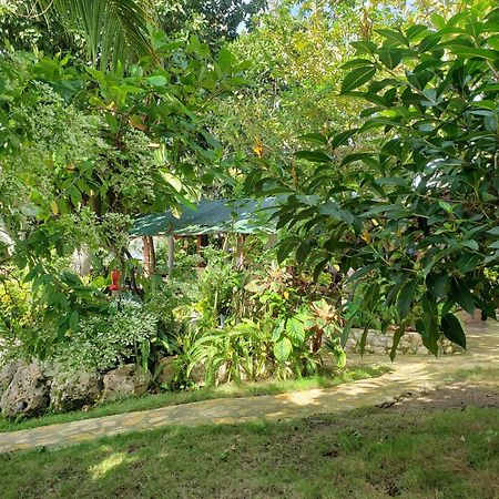 Zapote Tree Inn Flores Exterior photo