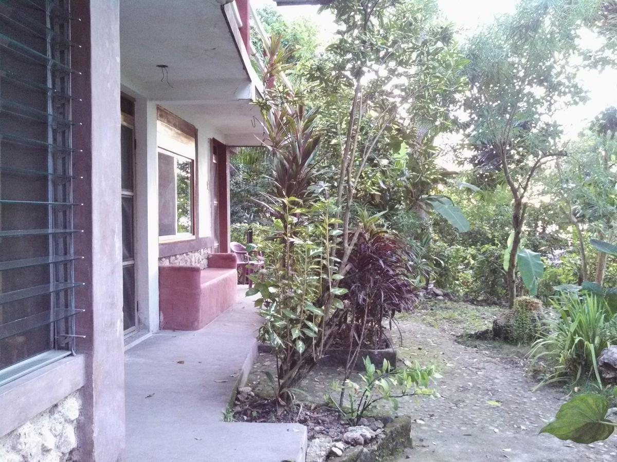 Zapote Tree Inn Flores Exterior photo